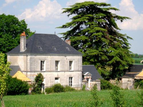 Majestic villa in Cussay with swimming pool Cussay france