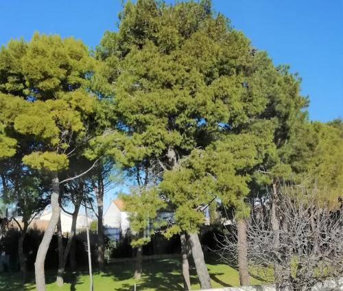 Majopau Boujan-sur-Libron france