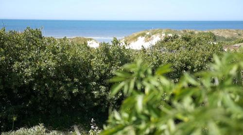 Mamoune Le Touquet-Paris-Plage france