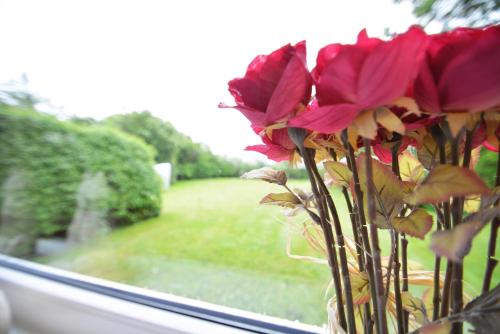 Appartement Mariannes Hues Wohnung 1 Taarepswoi 27 Borgsum