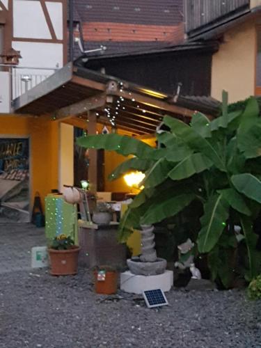 Appartement marielies-urlaubsstube 53 Kürzeller Hauptstraße Meißenheim