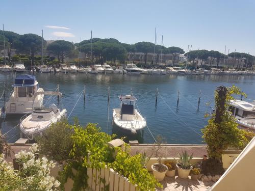 Marina Port Camargue Le Grau-du-Roi france