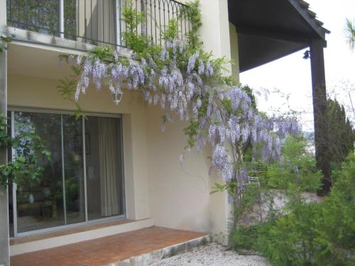 Mas De Gorjan Clermont-lʼHérault france