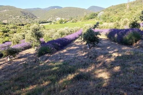 Mas de vigneron, en Drôme provencale Rousset-les-Vignes france