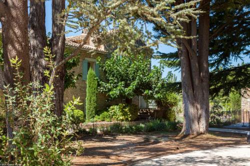 Maisons de vacances Mas des Cèdres Mas des Cèdres, lieu-dit Les Vallats 131, Chemin de Grenouillères Ménerbes