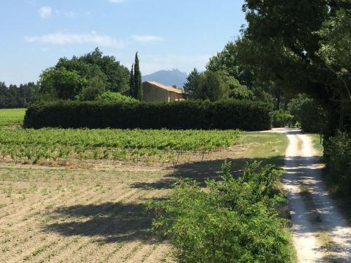 Mas du Clos de l'Escarrat Jonquières france