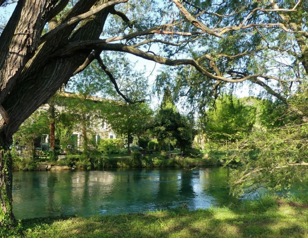 B&B / Chambre d'hôtes Mas Le Pont des Aubes 189 Route d'Apt, 84800 LʼIsle-sur-la-Sorgue