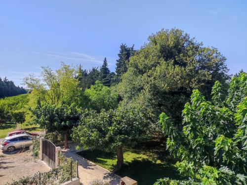 Maison de vacances Mas provençal au cœur des vergers Mas du potager Vallabrègues