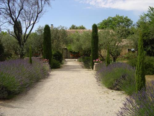 B&B / Chambre d'hôtes MAS SOLIGE 1553 Route de Bedoin Carpentras