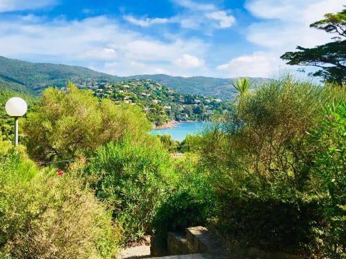 Appartement Mazet « Domaine de la pinède » Avenue du cap negre Le Lavandou