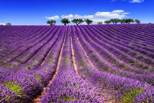 Mazet Provence Saint-Martin-de-Brômes france