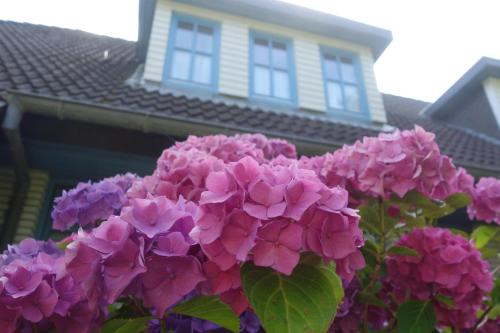 Meerzeit Sankt Peter-Ording allemagne