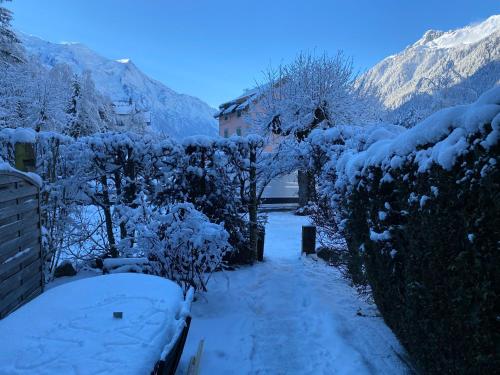 Mer de Glace Chamonix-Mont-Blanc france