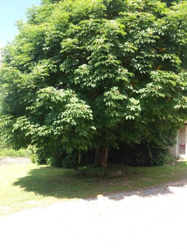 Maison de vacances Meublé de tourisme \ Les Brosses Tillots Mary