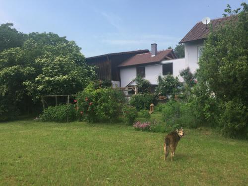 Michaelsbergblick Bönnigheim allemagne