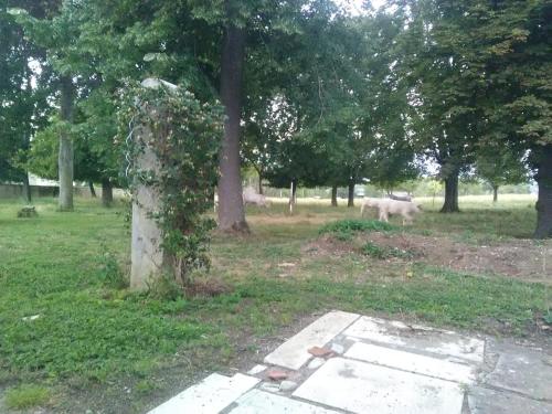 Séjour chez l'habitant Mlle Labeaume 2 Chemin de la Croix de l'Envie Aigueperse