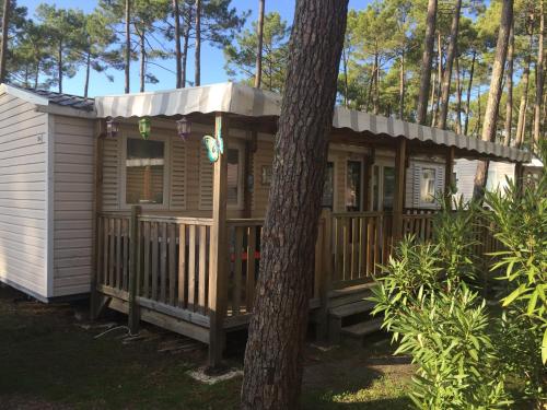 Camping Mobil-Home 4-8 personnes Saint-Julien-En-Born Route de Contis Saint-Julien-en-Born