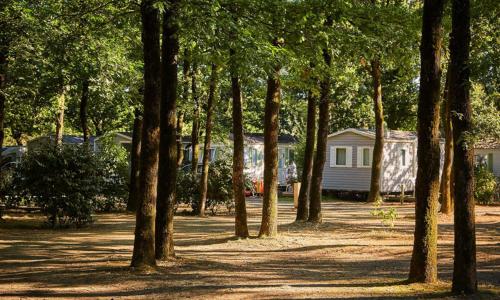 Mobil Home sur Camping 3* Le Pont Legé france