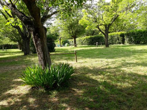 Mobile-home 6 places camping \ Cabrières-dʼAigues france