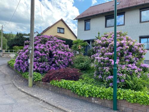 Appartement Modern Apartment in Waltershausen with Parking  Waltershausen