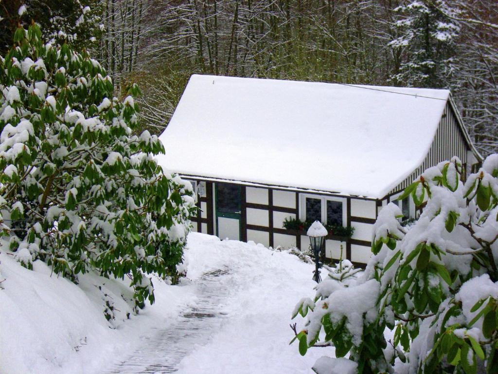Maison de vacances Modern Holiday home in Oberkirchen with Garden , 57392 Schmallenberg