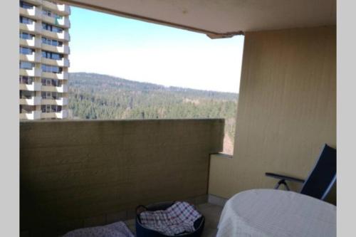 moderne Ferienwohnung mit WLAN+Schwimmbad+Sauna Braunlage allemagne