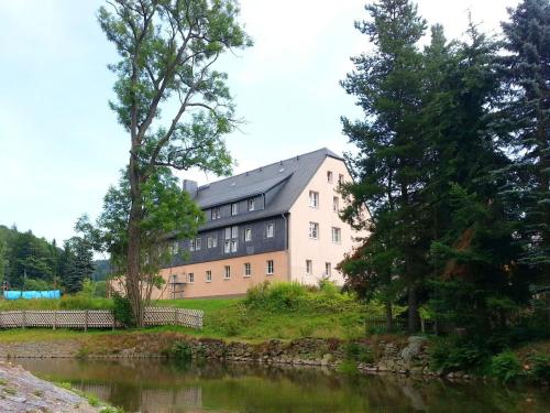 Modernly furnished apartment in the Ore Mountains with use of garden Neuhausen allemagne