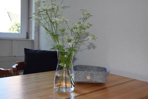 Appartement Moewe Kommandobrüch 1 Landkirchen