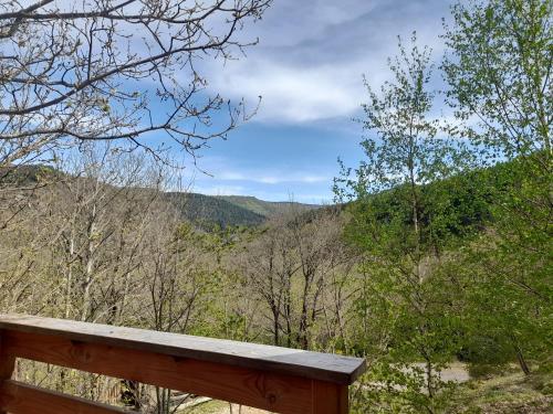 Chalet Mon chalet au cœur des Cévennes Racoules - La pierre Maury Vébron