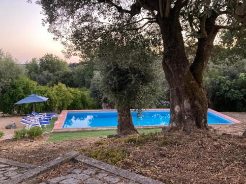 Monte da Fonte - piscina, tenis e snooker no Alentejo Vila de Frades portugal