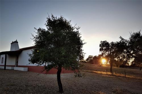 Appartement Monte das Casolas - Comporta Carvalhal Melides Estrada municipal 546 courela das casolas, Mosqueiroes Grândola