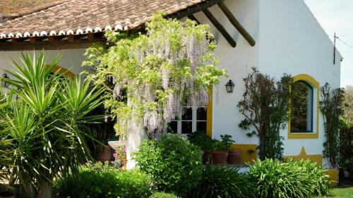 Monte do Ravasco Country House Estremoz portugal