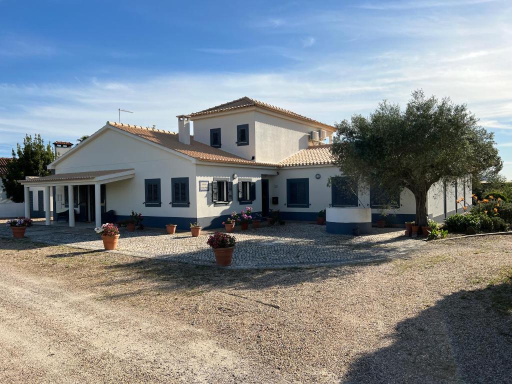 Villa Monte Maria Pratas - A rural villa with lots of privacy 100 Rua 25 de Abril, 2965-503 Cajados