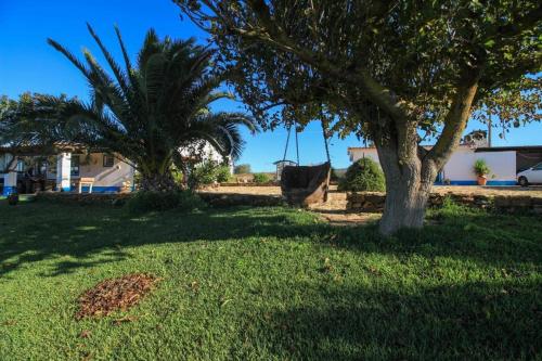 Maisons de vacances Monte Tevar de Menezes Rua José Carlos Picão Caldeira Monte Tevar de Menezes Vila Boim