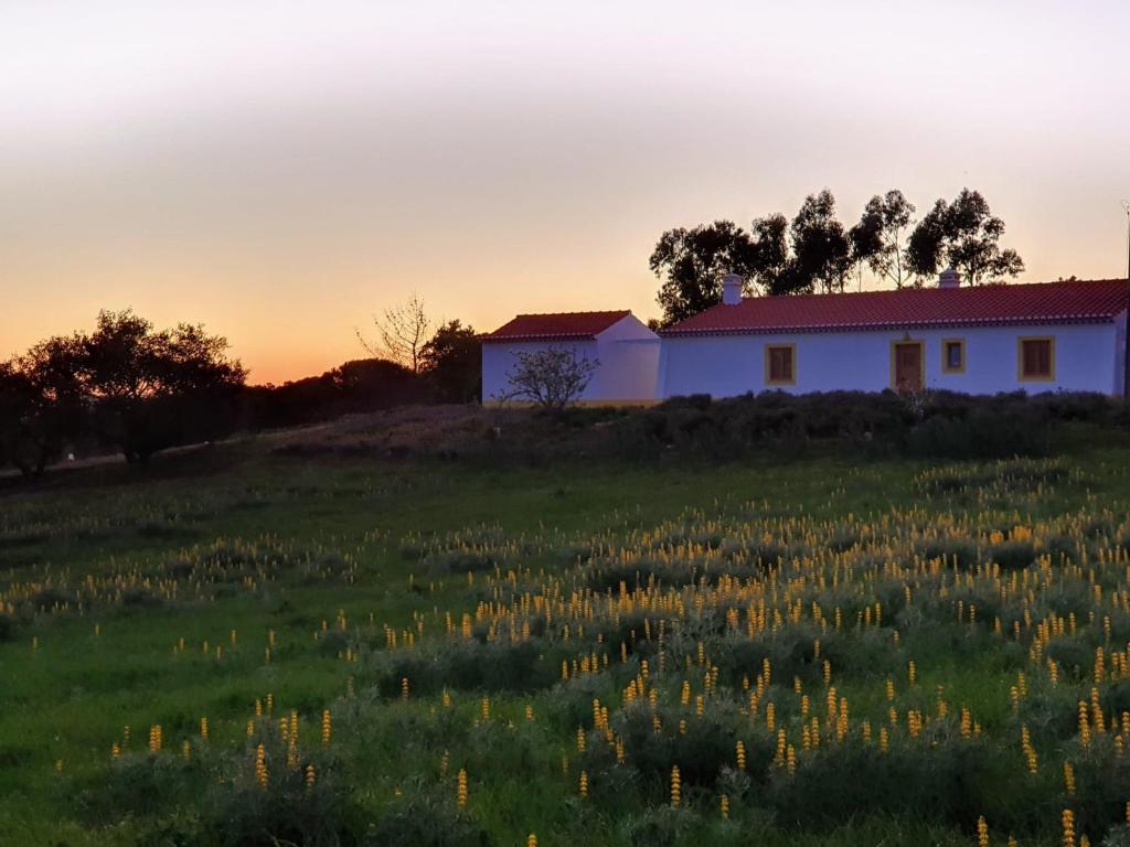 Maison de vacances Montes Galegos Montes Galegos EM1003-1 Aljezur, 8670-156 Aljezur