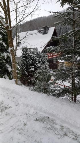 Monteurwohnung Aroba Fehrenbach allemagne