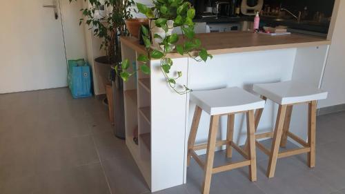 Appartement Montpellier, Magnifique T2 cosy avec jardin 2677 Avenue Etienne Méhul Montpellier