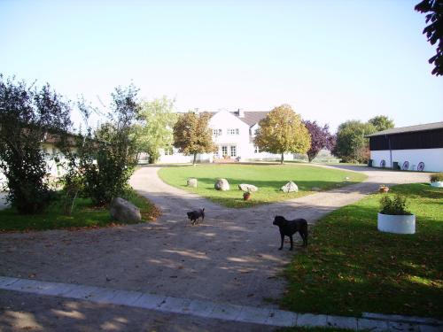 B&B / Chambre d'hôtes Moorberghof Zum Moorberg 10 Sagau