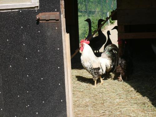 Appartements Moorwiesenhof 14 Alter Schulweg Ostrach