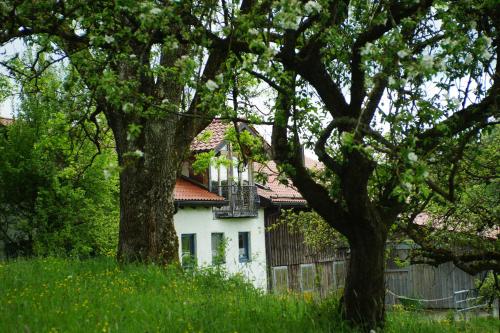 Séjour à la campagne Moosmühle Allgäu Moosmuhle 2 Untrasried