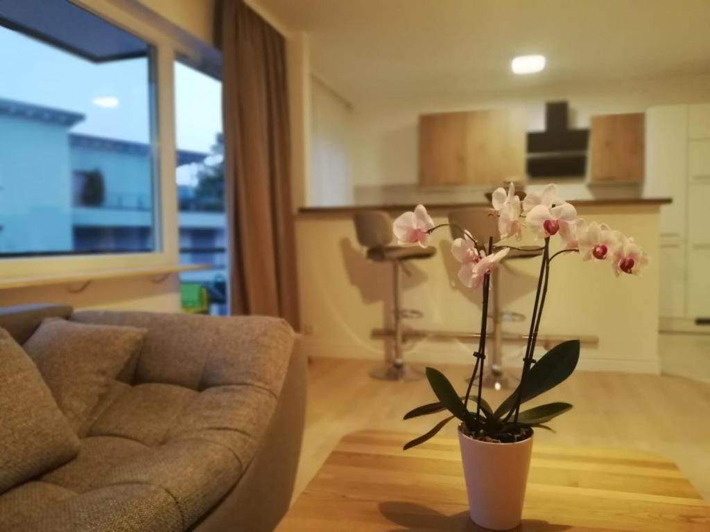 Appartement Moscow Areal Suite 14 Kapuzinerstraße, 76530 Baden-Baden