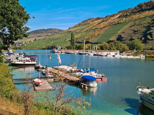 Bateau-hôtel Moselcube Yachthafen Traben-Trarbach