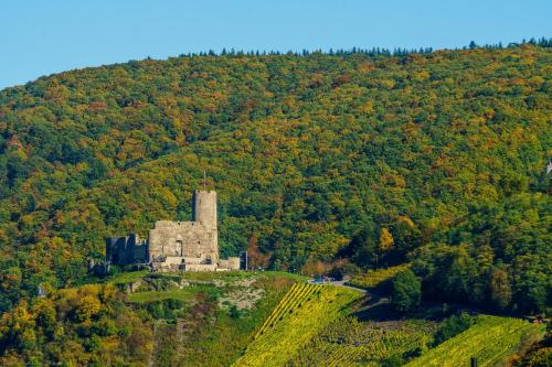 Appartement Moseltalblick Ahornweg 3 Bernkastel-Kues