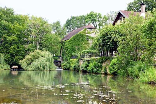 Moulin dans un parc d’élevage à Daims Jancigny france