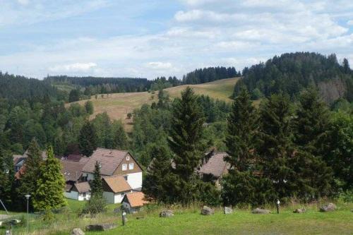 Appartement MountainLodge Glockenbergweg 20, Whg 14 Altenau