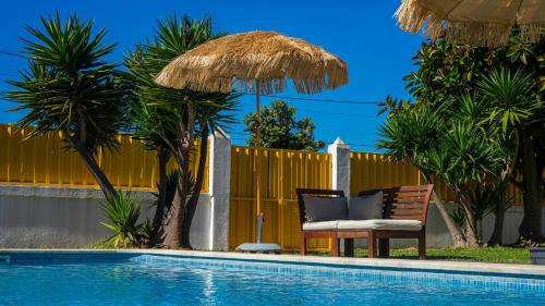 Mr Ziggy's Surfhouse Costa da Caparica portugal