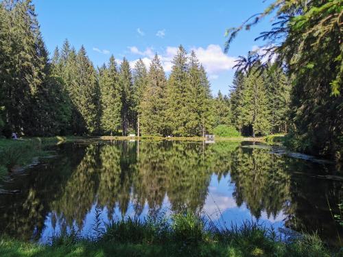 Nähe Nationalpark Baiersbronn allemagne