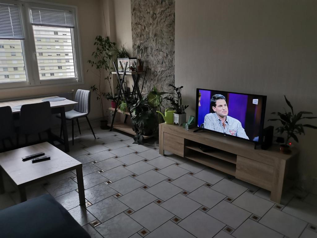 Séjour chez l'habitant Nancy 1013, chambres privées dans un grand appartement, partagé avec l'hôte 100 Avenue du Général Leclerc, 54000 Nancy