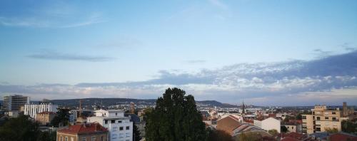 Séjour chez l'habitant Nancy 1013, chambres privées dans un grand appartement, partagé avec l'hôte 100 Avenue du Général Leclerc Nancy