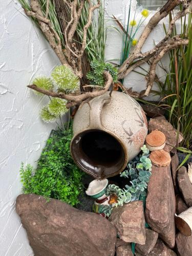 Natur und Neckarblick bei Heidelberg Hirschhorn allemagne